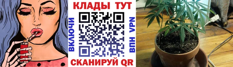 Наркошоп Суровикино ГАШИШ  Alpha PVP  Мефедрон  Канабис 