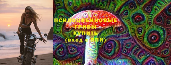 МДПВ Алзамай
