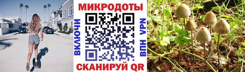 Псилоцибиновые грибы Magic Shrooms  Суровикино 